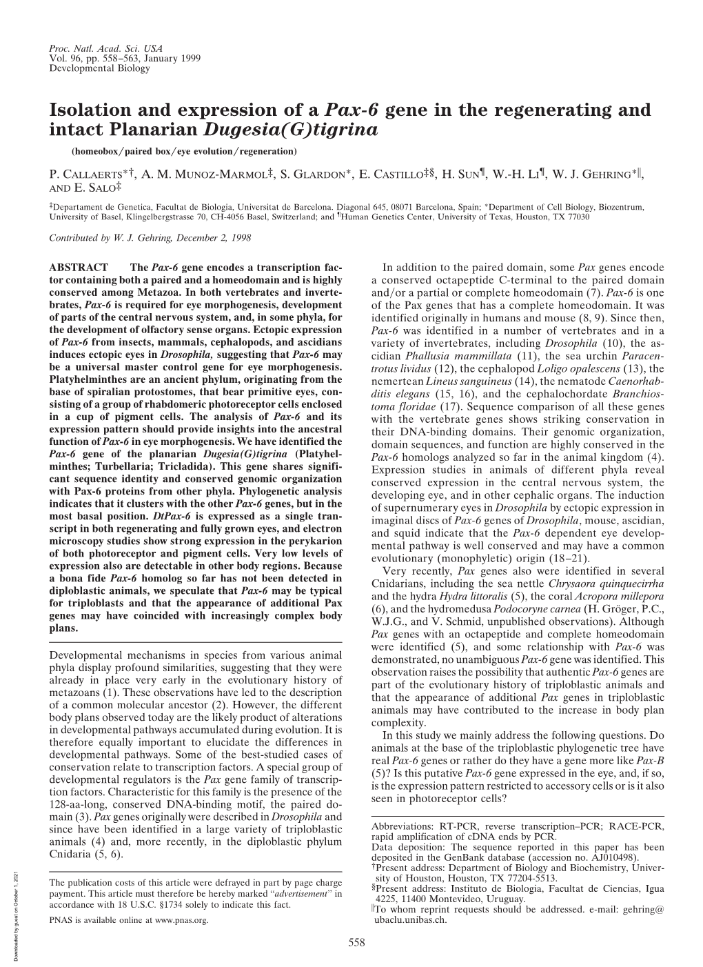 Isolation and Expression of a Pax-6 Gene in the Regenerating and Intact Planarian Dugesia(G)Tigrina (Homeobox͞paired Box͞eye Evolution͞regeneration) ࿣ P