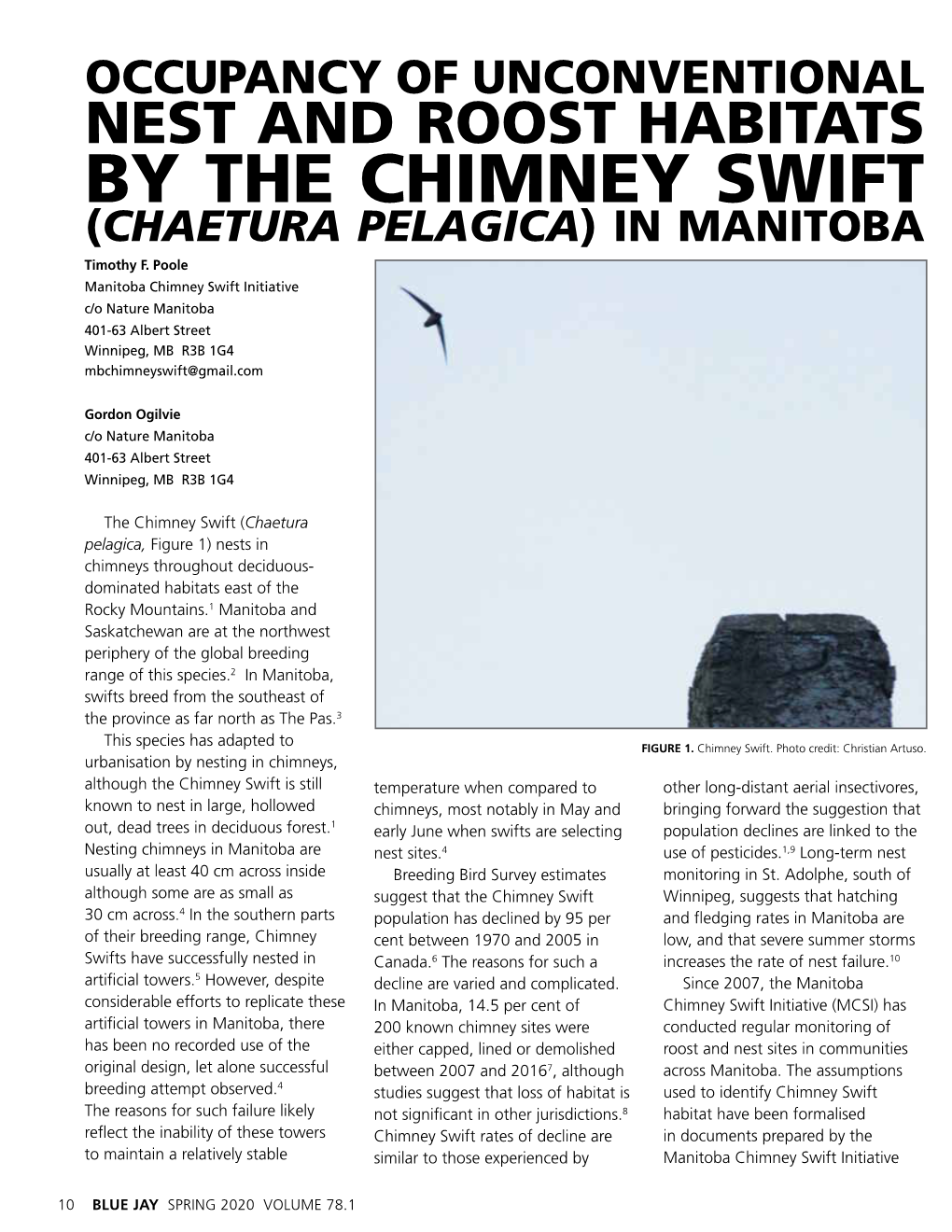 NEST and ROOST HABITATS by the CHIMNEY SWIFT (CHAETURA PELAGICA) in MANITOBA Timothy F