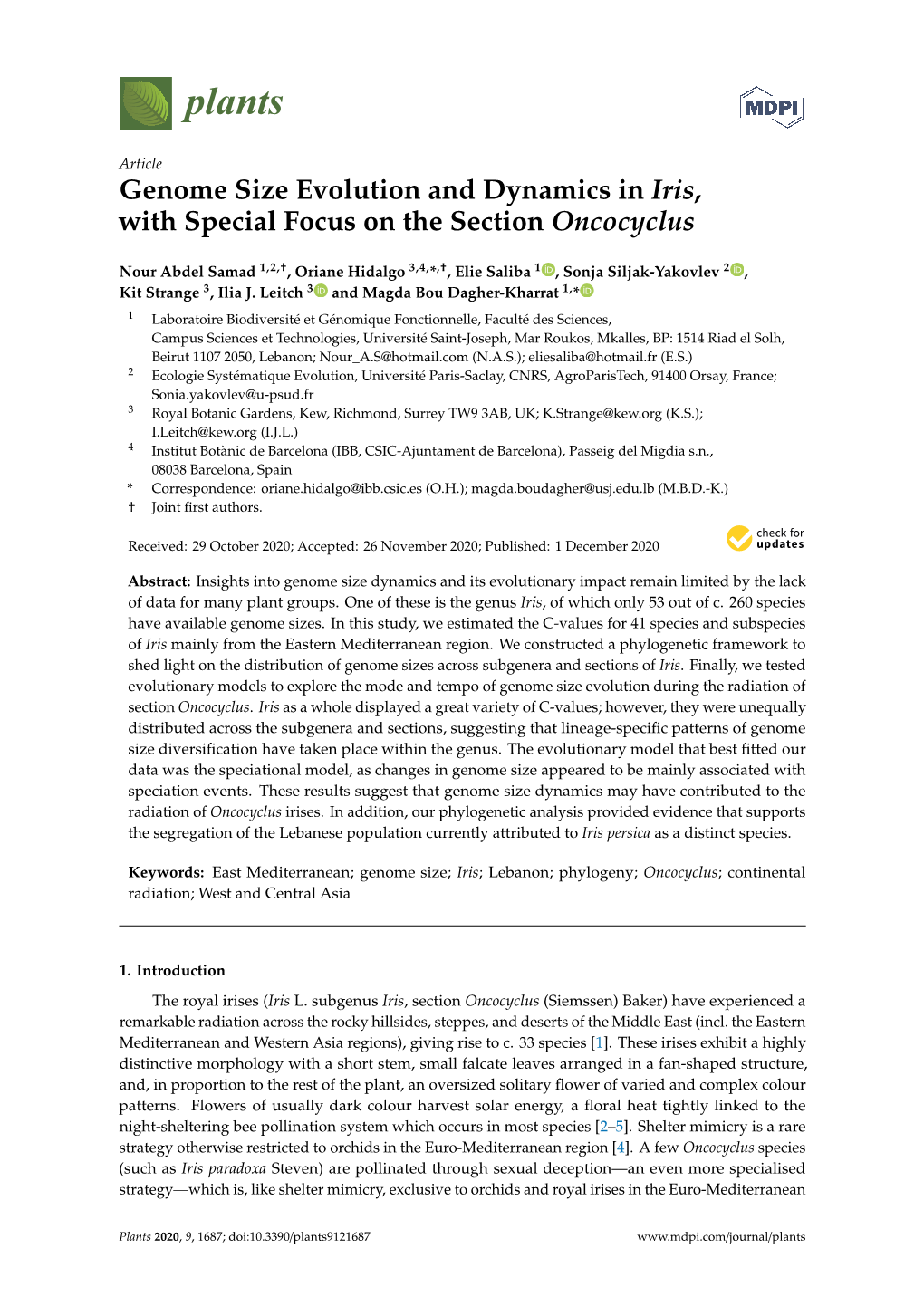 Genome Size Evolution and Dynamics in Iris, with Special Focus on the Section Oncocyclus