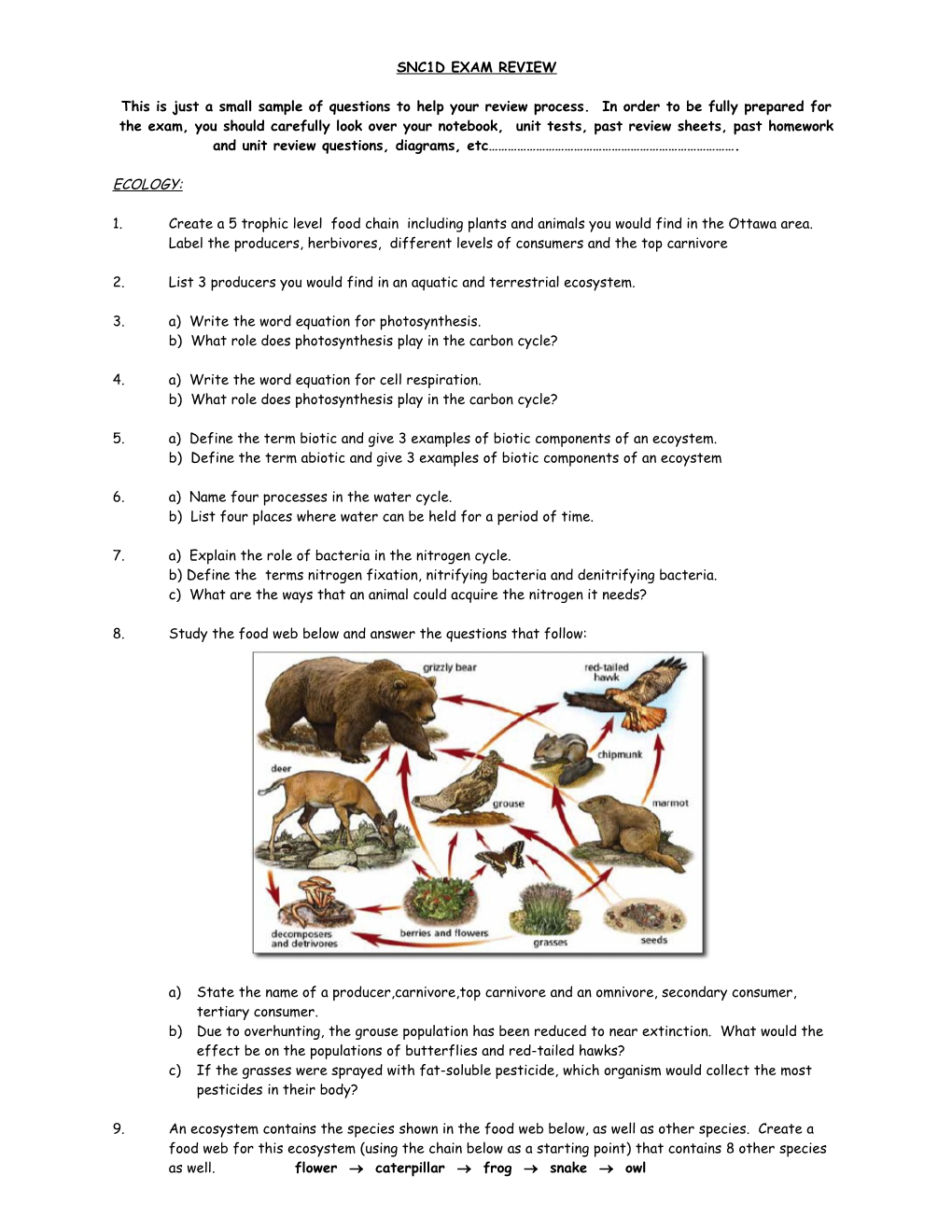 Snc1d Lab Exam Review