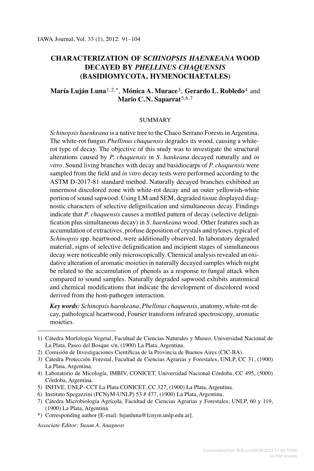 Characterization of Schinopsis Haenkeana Wood Decayed by Phellinus Chaquensis (Basidiomycota, Hymenochaetales)