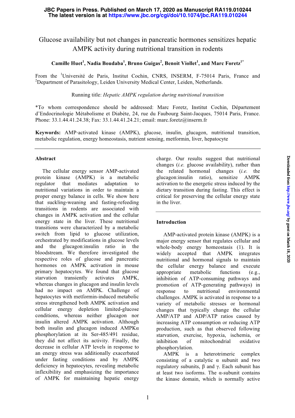 Glucose Availability but Not Changes in Pancreatic Hormones Sensitizes Hepatic AMPK Activity During Nutritional Transition in Rodents