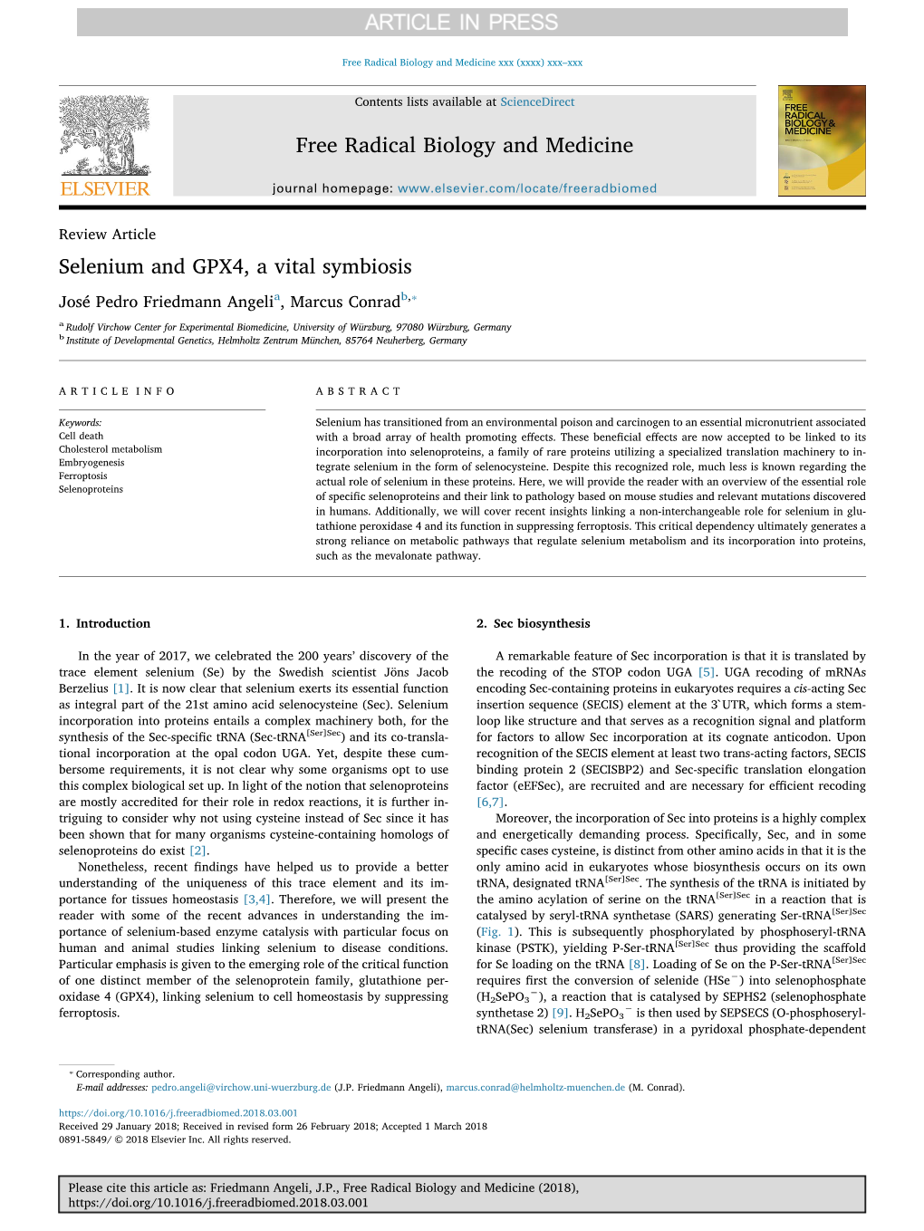 Selenium and GPX4, a Vital Symbiosis