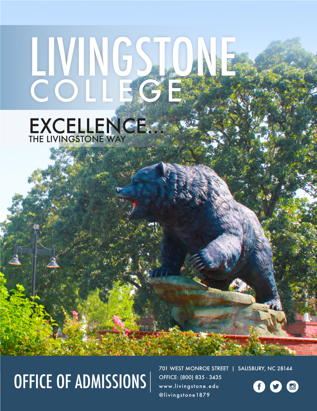 Excellence... the Livingstone Way