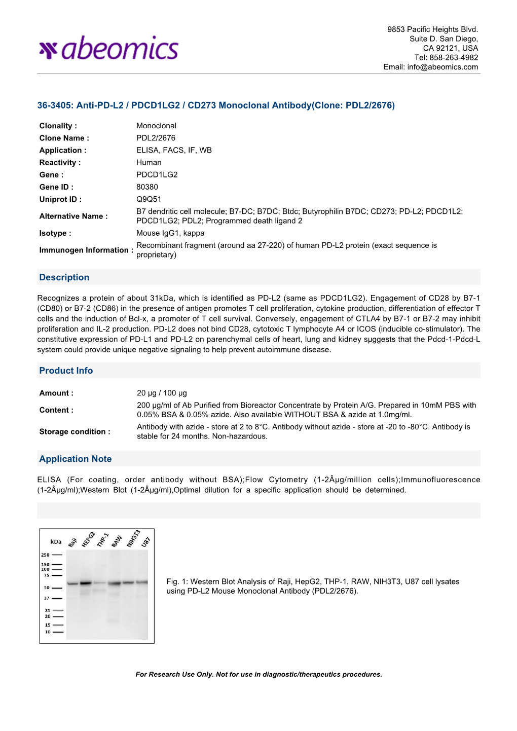 Anti-PD-L2 / PDCD1LG2 / CD273 Monoclonal Antibody(Clone: PDL2/2676)