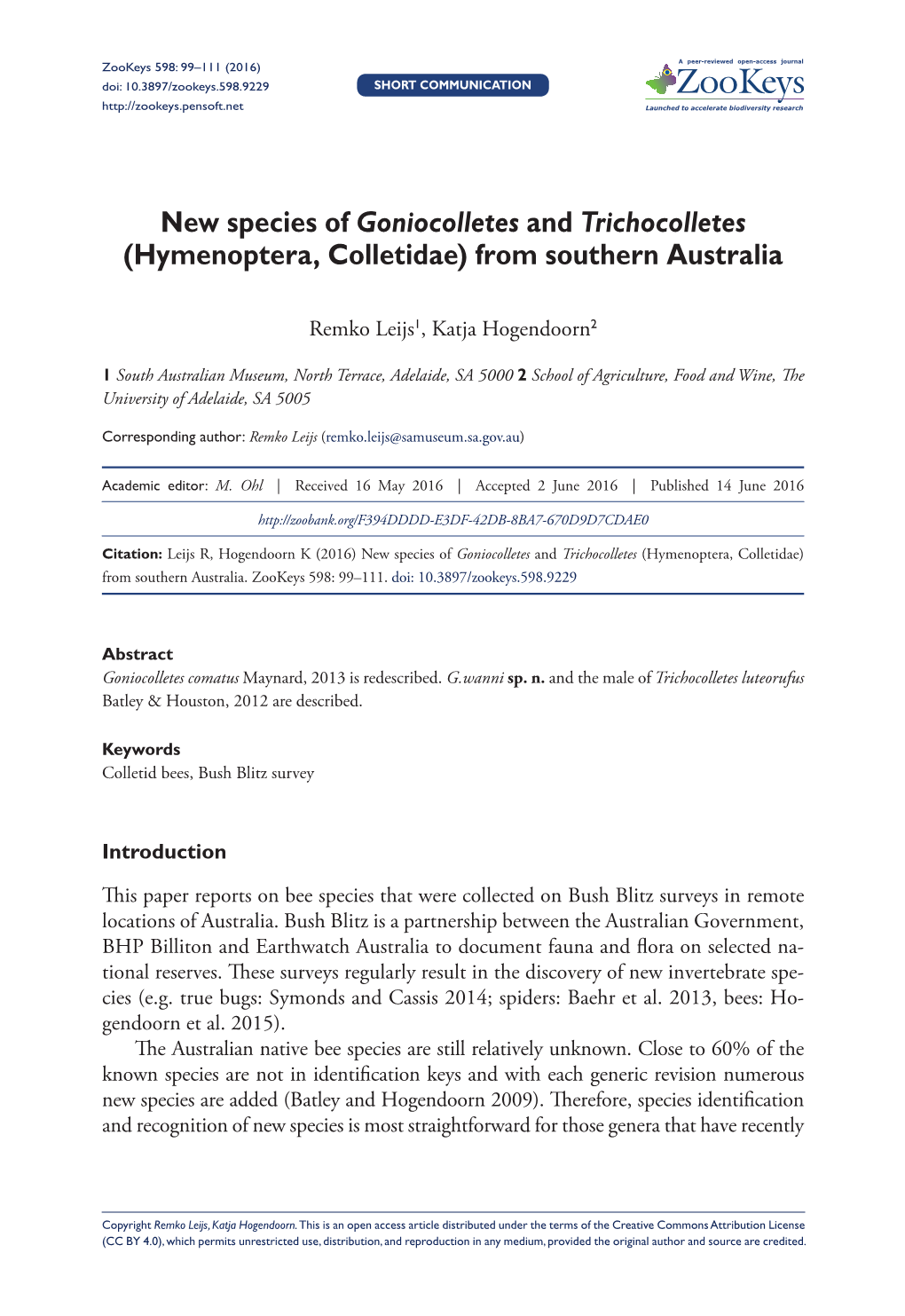 ﻿New Species of Goniocolletes and Trichocolletes (Hymenoptera