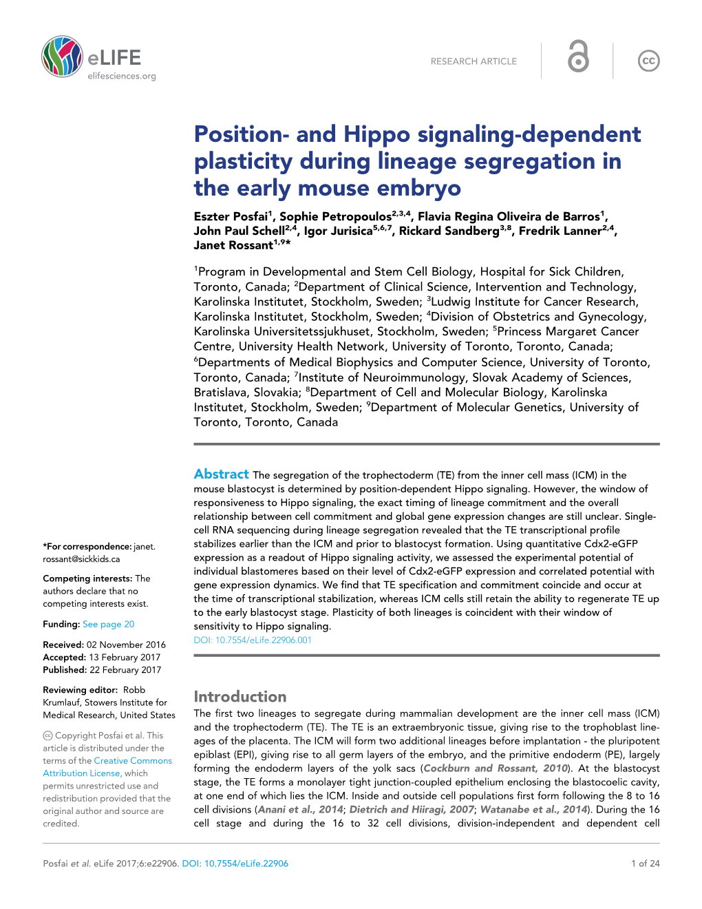 And Hippo Signaling-Dependent Plasticity During Lineage