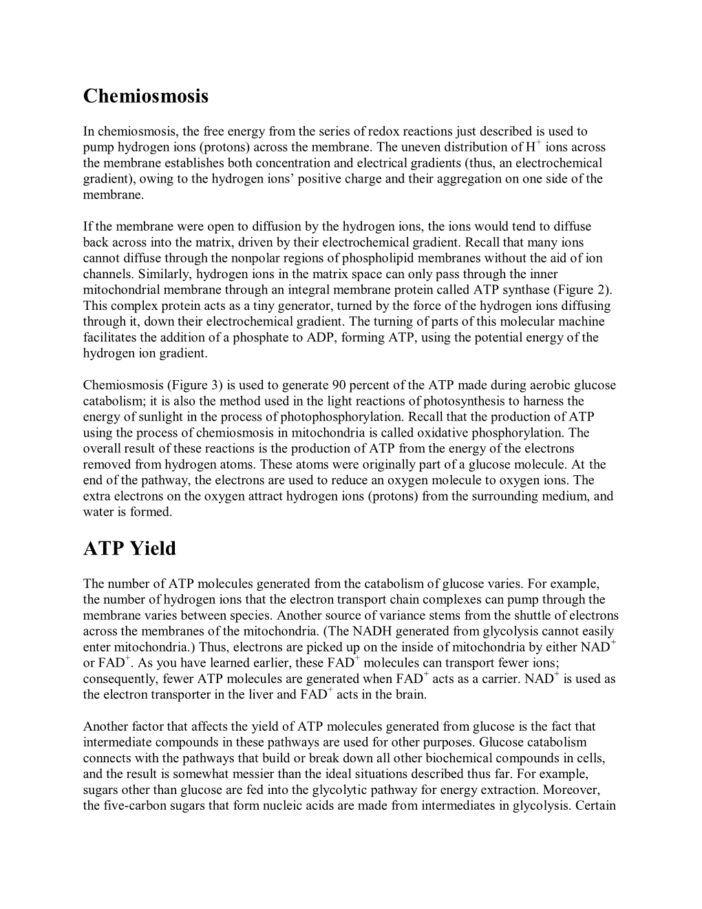 Chemiosmosis ATP Yield