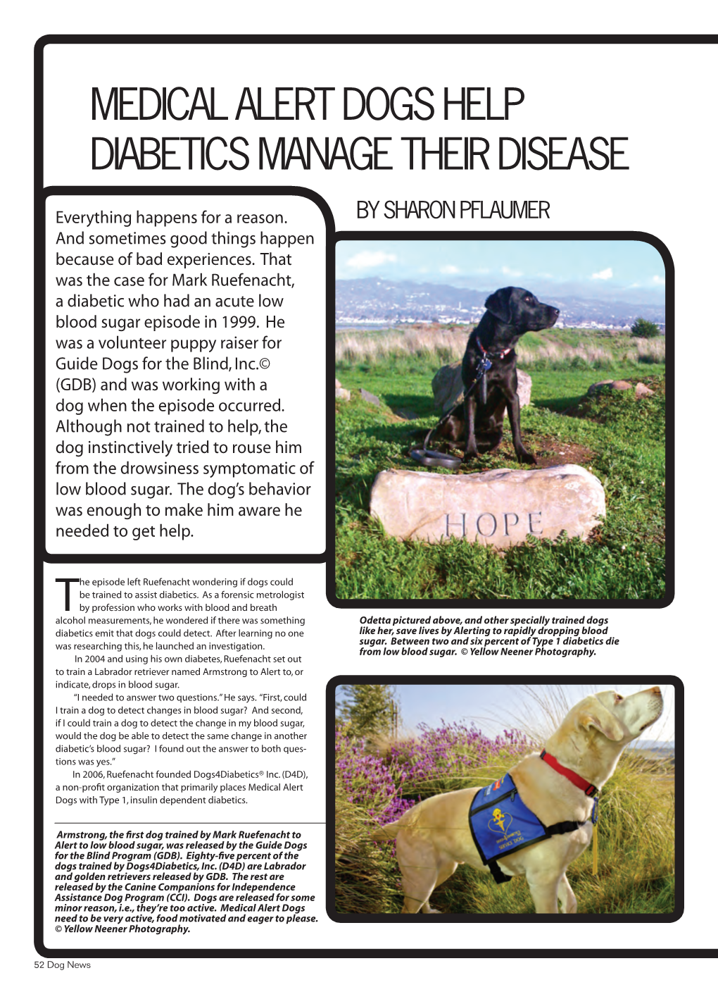Medical Alert Dogs Help Diabetics Manage Their Disease