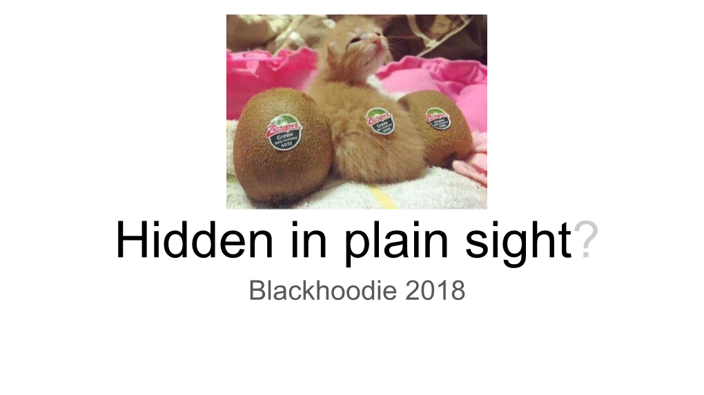 Hidden in Plain Sight? Blackhoodie 2018 Hidden in Plain Sight