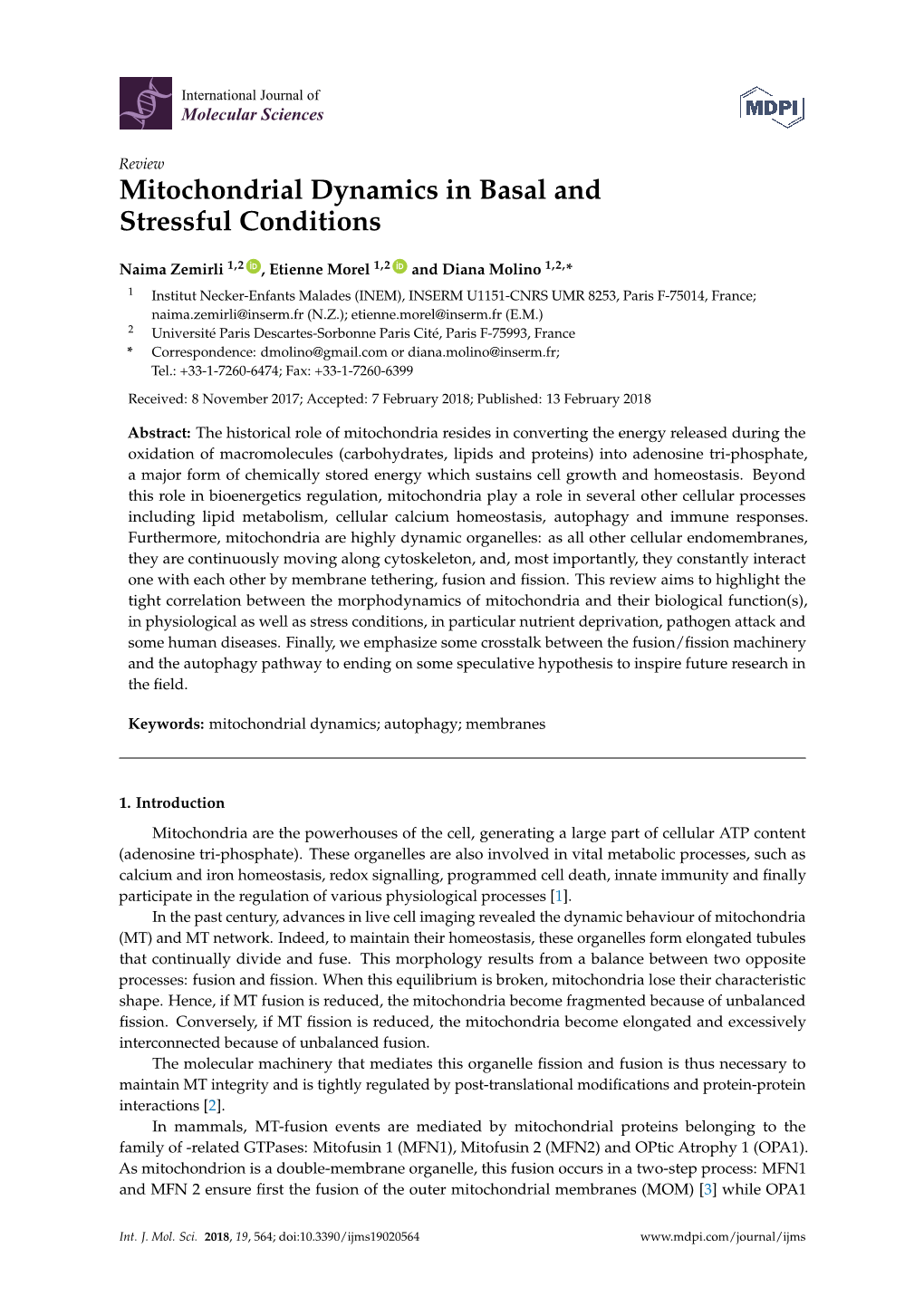 Mitochondrial Dynamics in Basal and Stressful Conditions