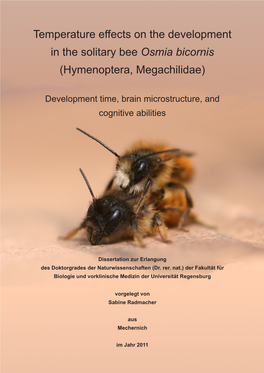 Temperature Effects on the Development in the Solitary Bee