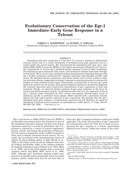 Evolutionary Conservation of the Egr-1 Immediate-Early Gene Response in a Teleost