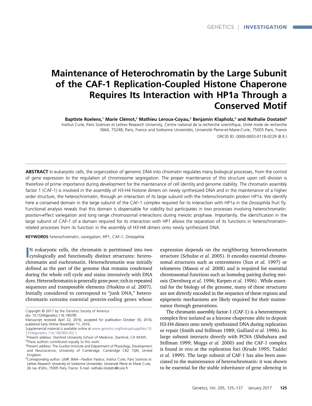 Maintenance of Heterochromatin by the Large Subunit of the CAF-1 Replication-Coupled Histone Chaperone Requires Its Interaction with Hp1a Through a Conserved Motif