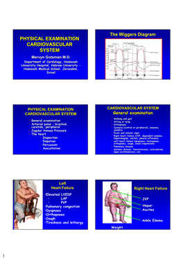 Physical Examination Cardiovascular System Physical Examination Cardiovascular System