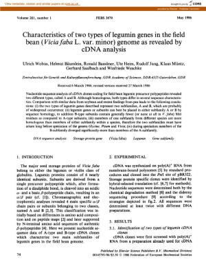 Characteristics of Two Types of Legumin Genes in the Field Bean (Vkiafaba L