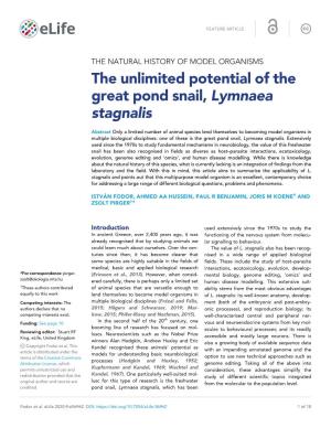 The Unlimited Potential of the Great Pond Snail, Lymnaea Stagnalis