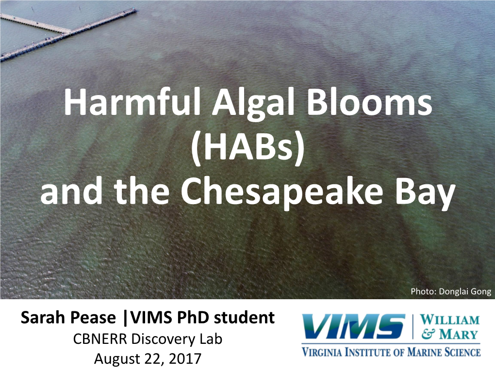 Harmful Algal Blooms (Habs) and the Chesapeake Bay