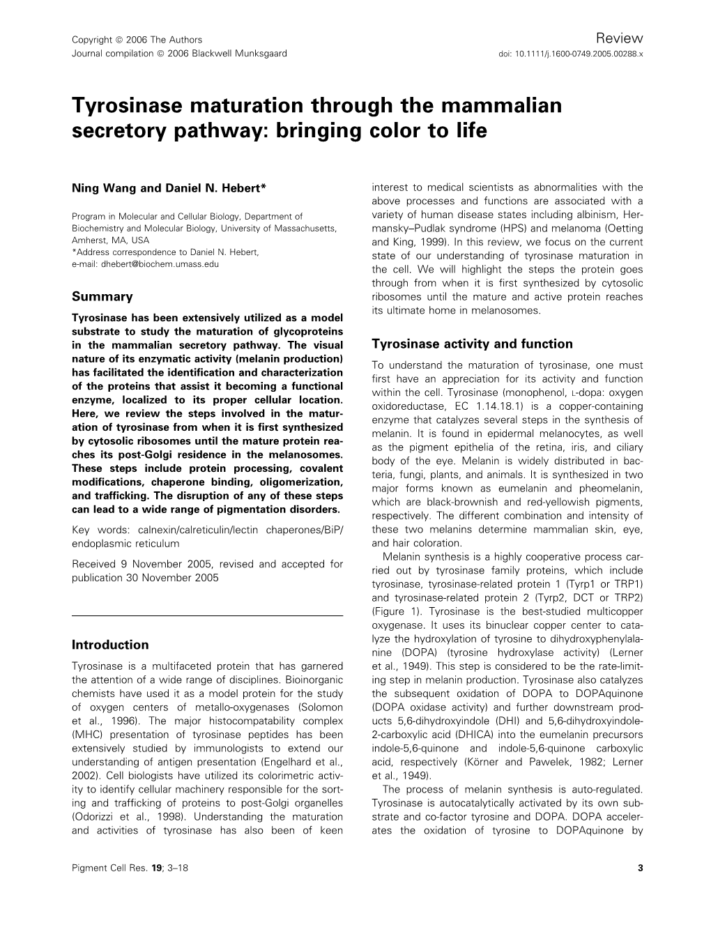 Tyrosinase Maturation Through the Mammalian Secretory Pathway: Bringing Color to Life