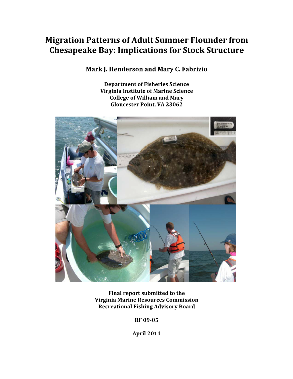 Migration Patterns of Adult Summer Flounder from Chesapeake Bay: Implications for Stock Structure