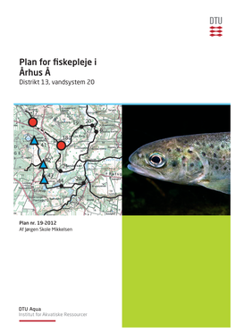 Plan for Fiskepleje I Århus Å Distrikt 13, Vandsystem 20