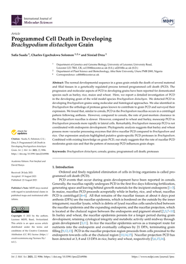 Programmed Cell Death in Developing Brachypodium Distachyon Grain