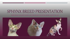 Sphynx Breed Presentation