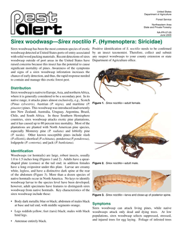 Sirex Woodwasp—Sirex Noctilio F. (Hymenoptera: Siricidae) Sirex Woodwasp Has Been the Most Common Species of Exotic Positive Identification of S