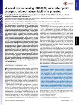 A Novel Orvinol Analog, BU08028, As a Safe Opioid Analgesic