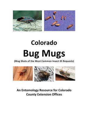 Bug Mugs (Mug Shots of the Most Common Insect ID Requests)