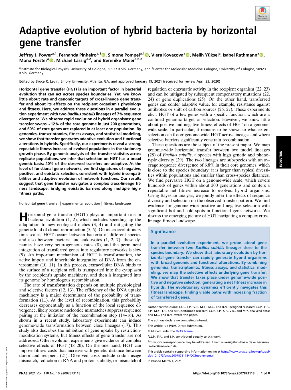 Adaptive Evolution of Hybrid Bacteria by Horizontal Gene Transfer