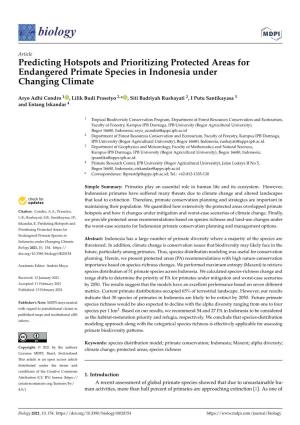 Predicting Hotspots and Prioritizing Protected Areas for Endangered Primate Species in Indonesia Under Changing Climate