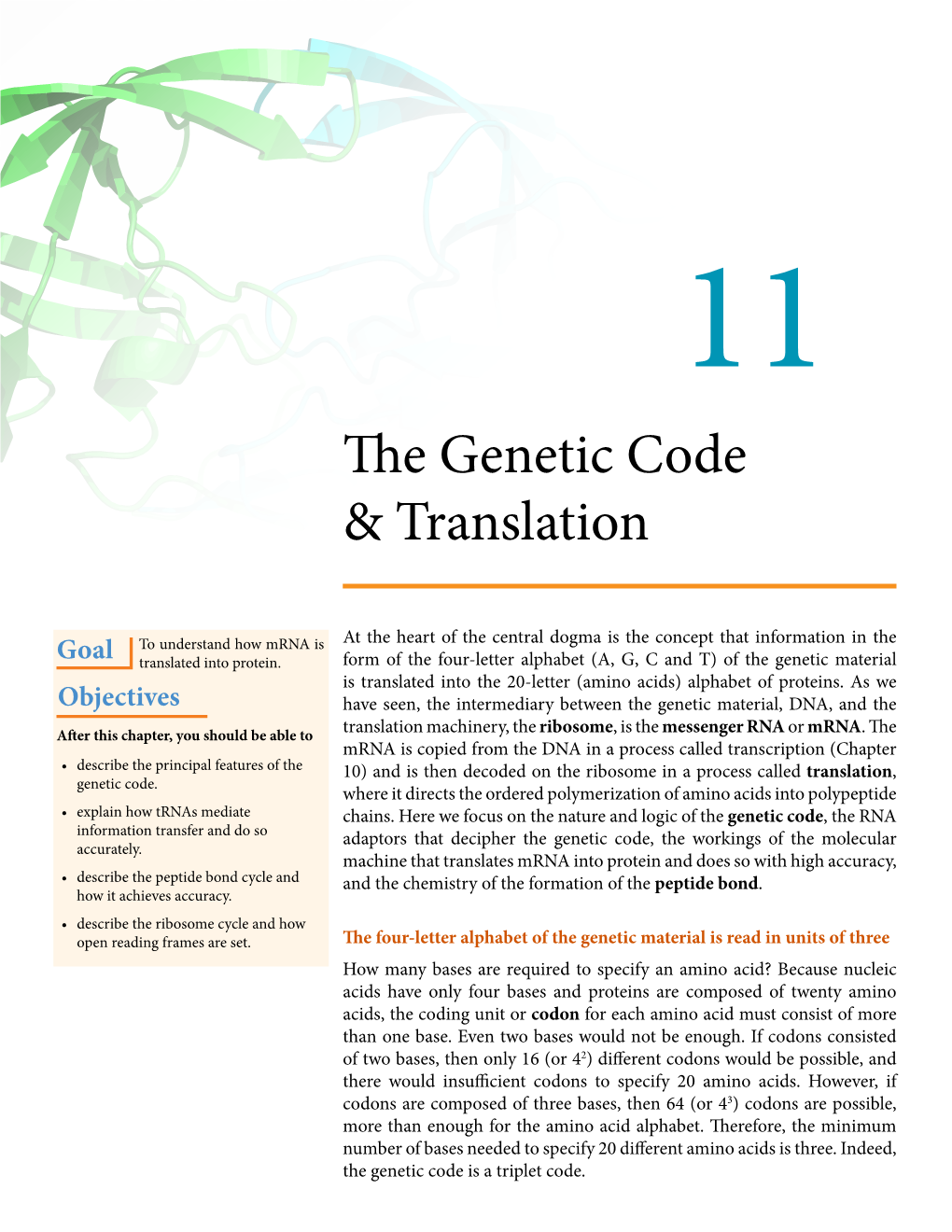 The Genetic Code & Translation