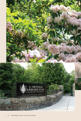 Boston's Arnold Arboretum