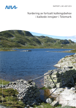 Vurdering Av Fortsatt Kalkingsbehov I Kalkede Innsjøer I Telemark Holmen På Lifjell