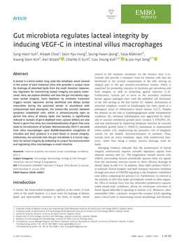 Gut Microbiota Regulates Lacteal Integrity by Inducing VEGF&#X2010