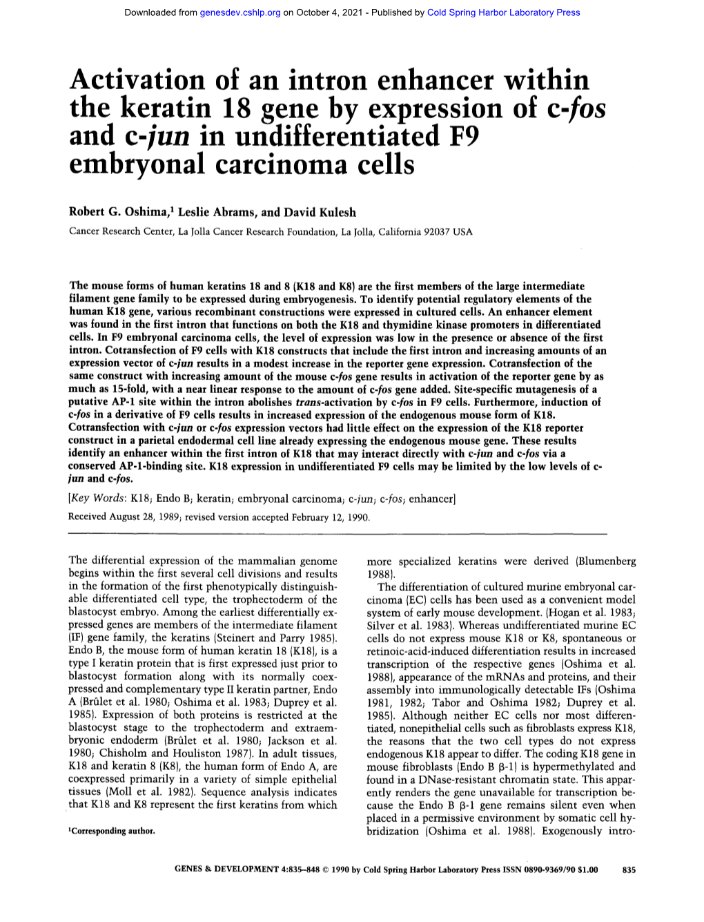Activation of an Intron Enhancer Within the Keratin 18 Gene by Expression of C-Fos and C-Lun M Undifferentiated F9 Embryonal Carcinoma Cells