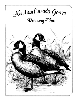 Aleutian Canada Goose Recovery Plan