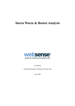 Storm Worm & Botnet Analysis