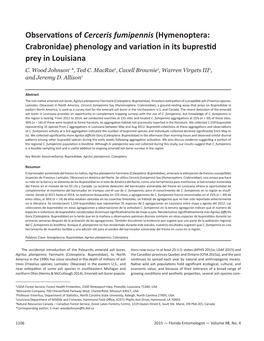 Observations of Cerceris Fumipennis (Hymenoptera: Crabronidae) Phenology and Variation in Its Buprestid Prey in Louisiana C