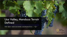 Uco Valley, Mendoza Terroir Defined