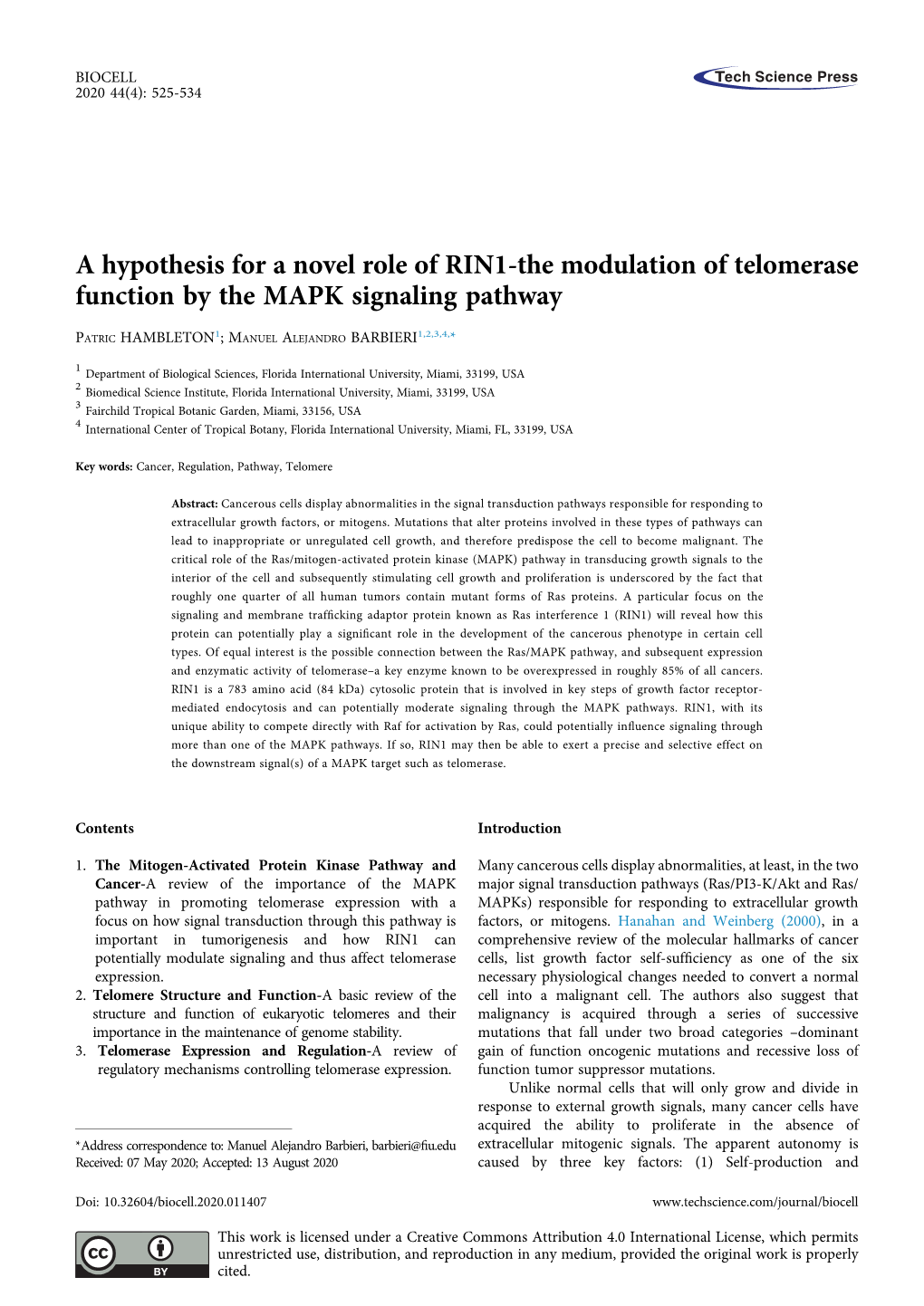 A Hypothesis for a Novel Role of RIN1-The Modulation of Telomerase Function by the MAPK Signaling Pathway