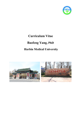 Curriculum Vitae Baofeng Yang