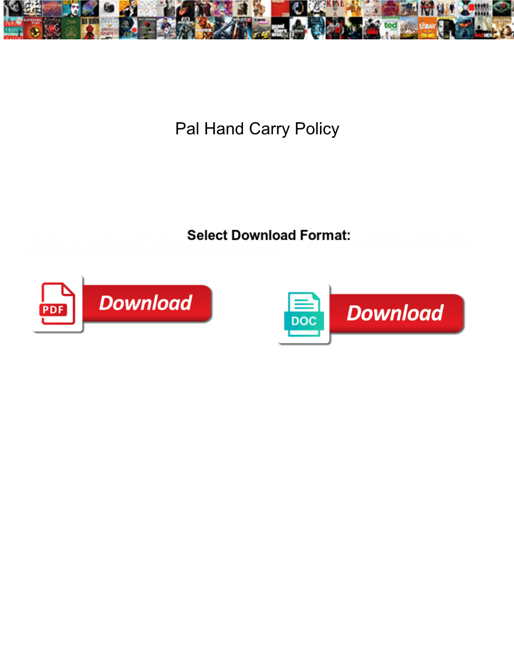 Pal Hand Carry Policy