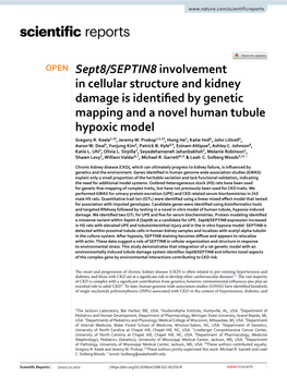 Sept8/SEPTIN8 Involvement in Cellular Structure and Kidney Damage Is Identified by Genetic Mapping and a Novel Human Tubule Hypo