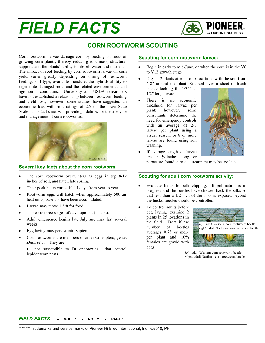 Corn Rootworm Scouting