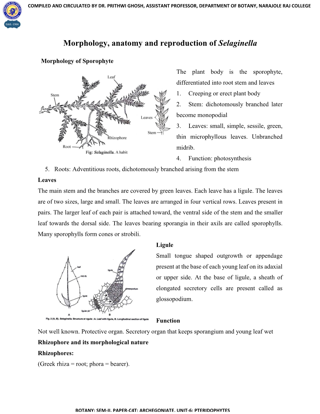 Morphology, Anatomy and Reproduction of Selaginella