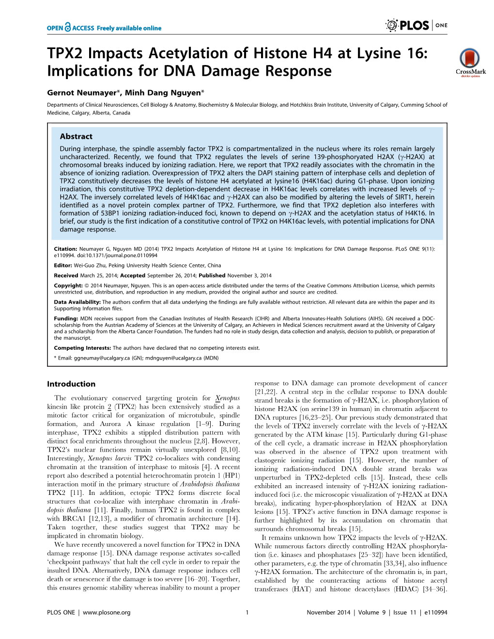 TPX2 Impacts Acetylation of Histone H4 at Lysine 16: Implications for DNA Damage Response