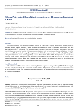 Biological Notes on the Colony of Brachyponera Obscurans (Hymenoptera: Formicidae) in Macau