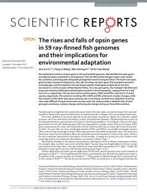The Rises and Falls of Opsin Genes in 59 Ray-Finned Fish Genomes And